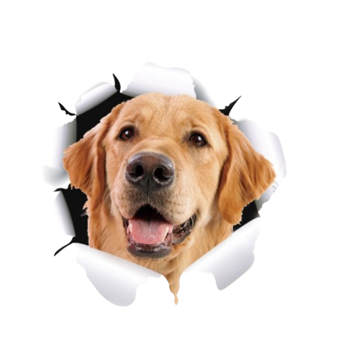 Наклейка на авто AIWA Пес 3D 00880