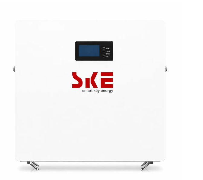 Аккумуляторная батарея SKE SK-BG5120 LiFePO4 48 В 100 Ah (SKE SK-BG5120)