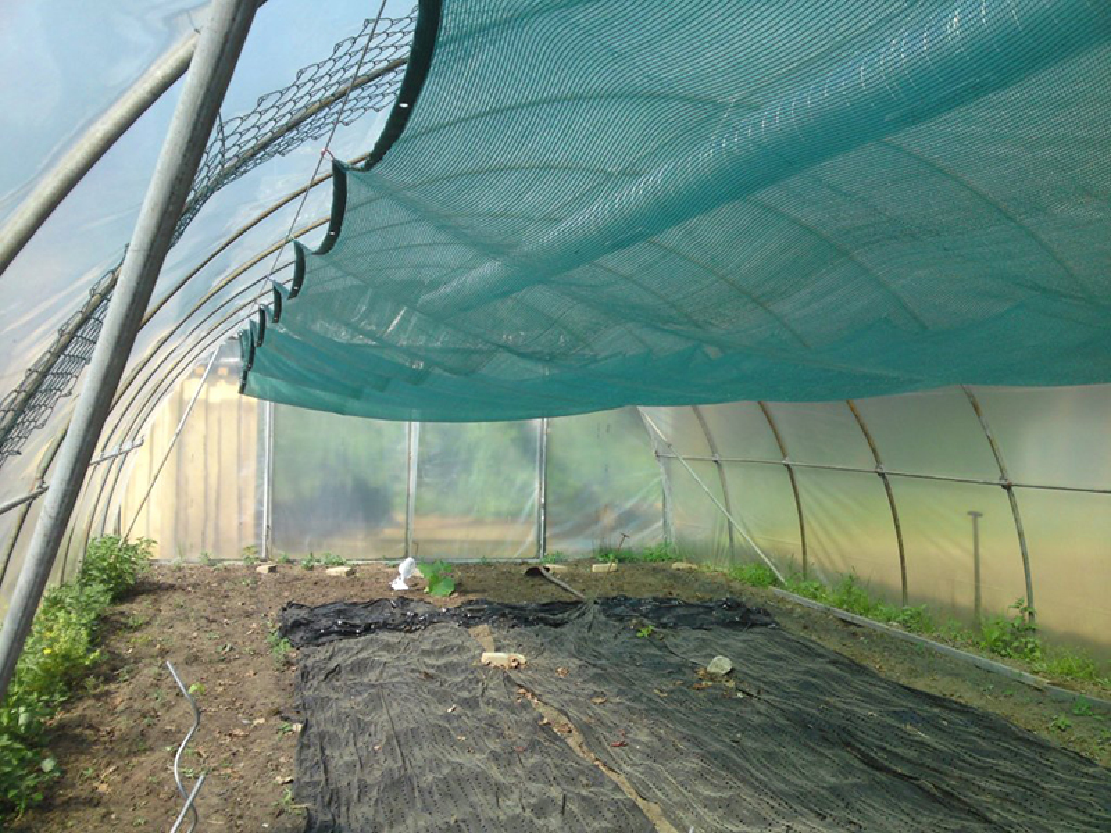 Сітка затіняюча Agreen 70% 6 м на метраж (26554298) - фото 4 Сітка затіняюча Agreen 70% 6 м на метраж (26554298) - фото 4