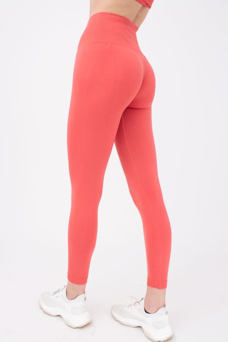 Легінси спортивні безшовні Giulia LEGGINGS ENERGY з високою талією L/XL Pink (4823102997568) - фото 2 Легінси спортивні безшовні Giulia LEGGINGS ENERGY з високою талією L/XL Pink (4823102997568) - фото 2