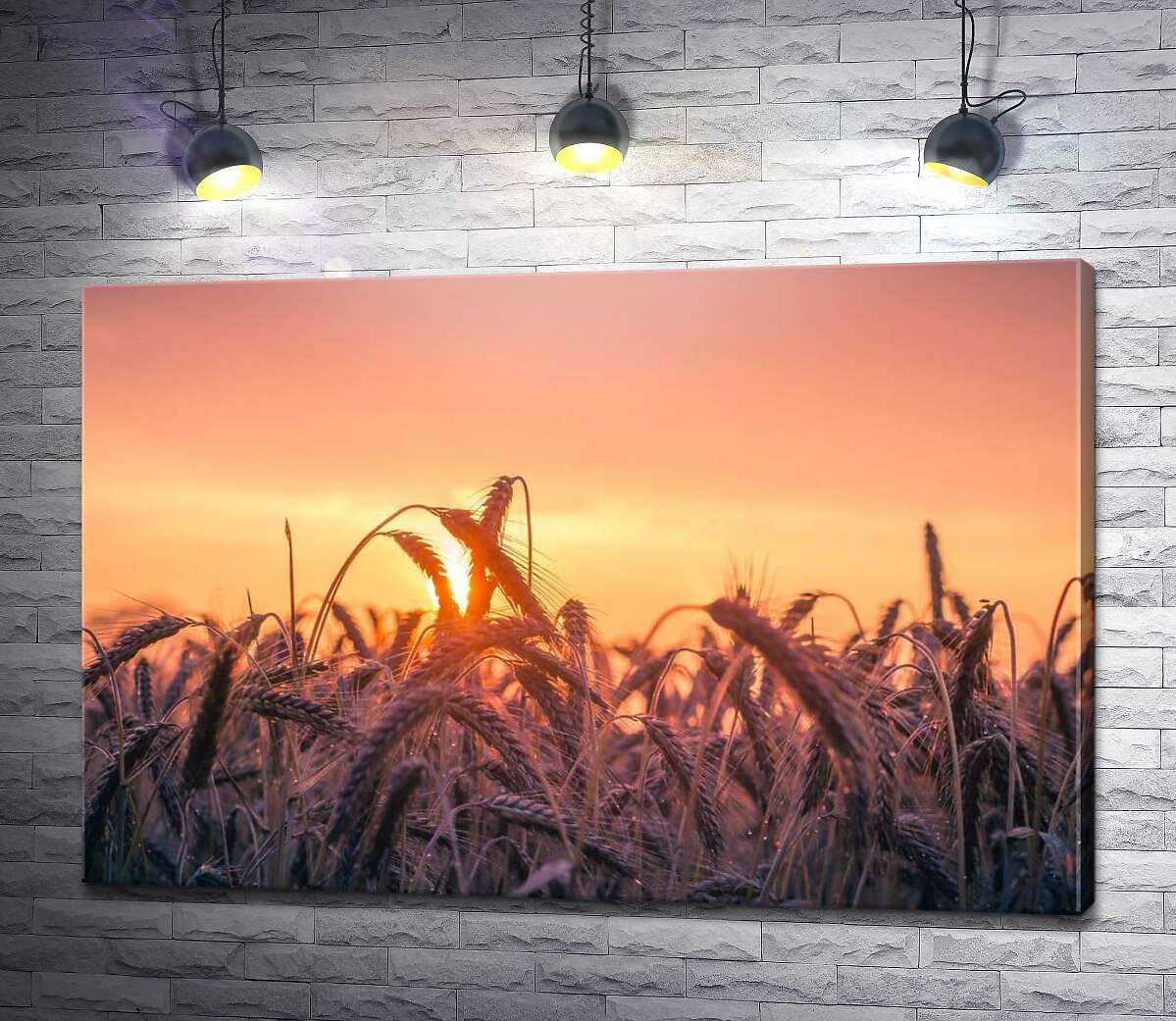 Картина ArtPoster Колоски пшеницы на закате 100x67 см Модуль №1 (003816)