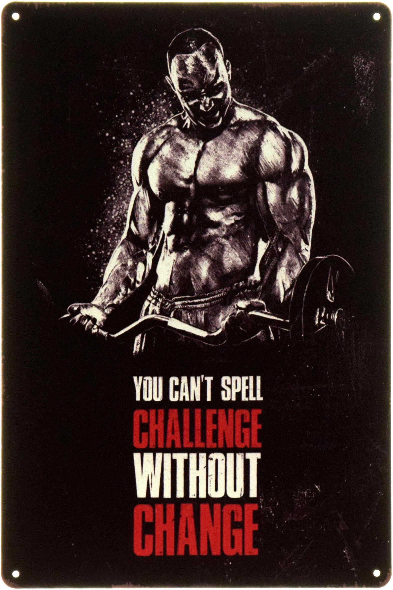 Табличка металлическая "You Can't Spell Challenge Without Change" 20x30 см (ms-104492)