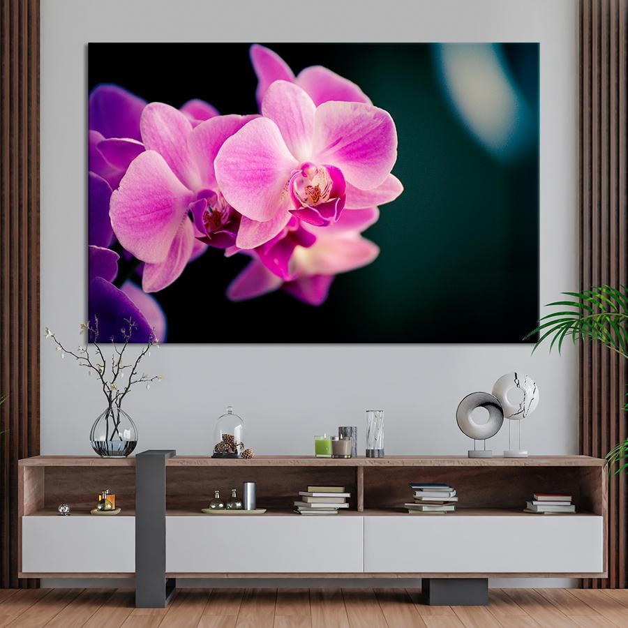 Картина цветы и растения Розовая орхидея 51x34 см (A1007-1)