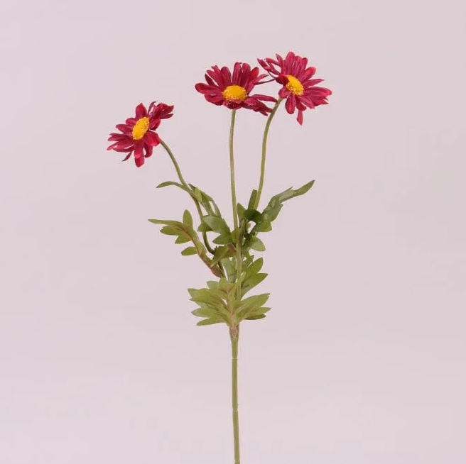 Цветок Маргаритка Flora Красный (72912)