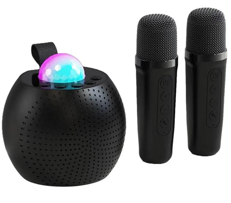 Портативна колонка RIAS Z1 караоке та 2 бездротові мікрофони 5W Black (3_07051) Портативна колонка RIAS Z1 караоке та 2 бездротові мікрофони 5W Black (3_07051)