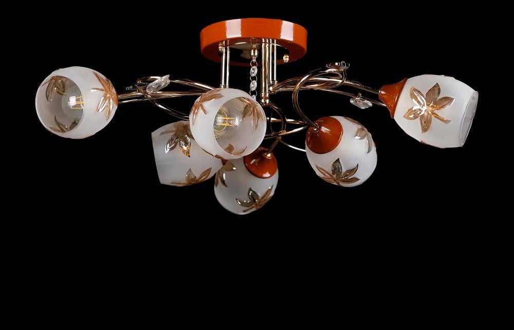 Люстра з плафонами Ray L302A/6 (IR006021)