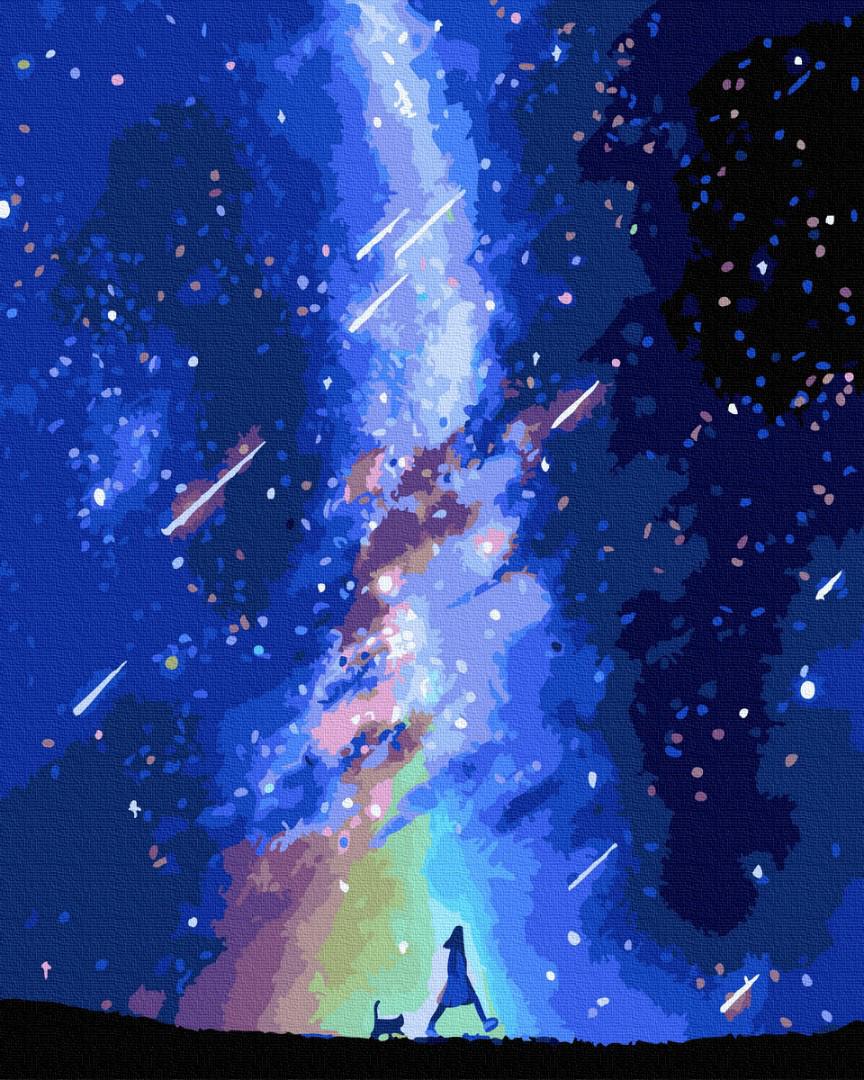 Картина по номерам Brushme Звездопад 40х50 см (GT66006)