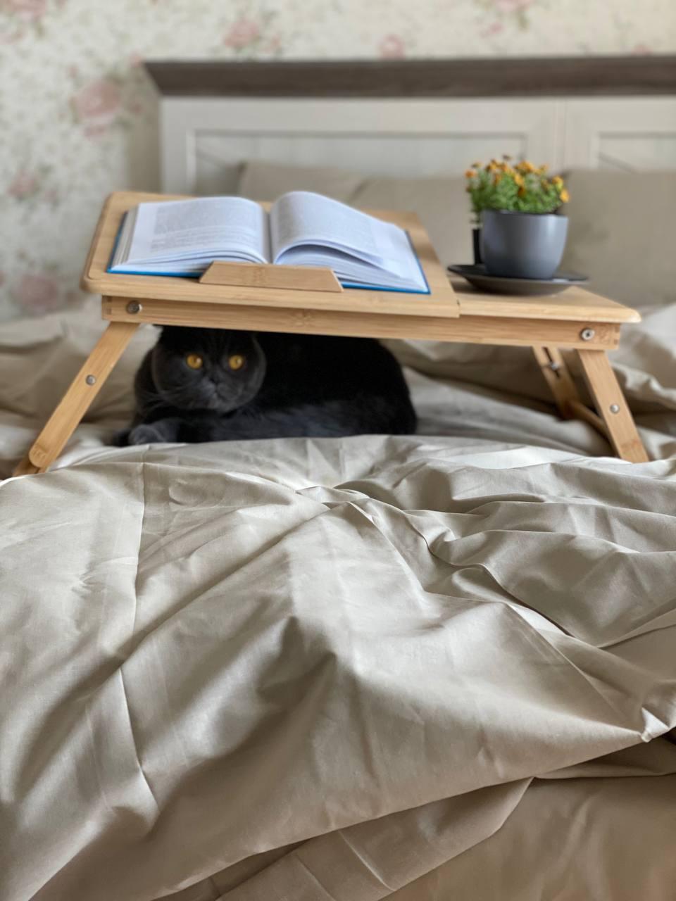 Комплект постільної білизни бавовна двоспальний Бежевий (2332569810) - фото 5