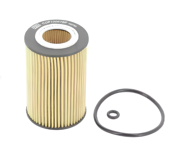 Фильтр масла Champion COF100673E