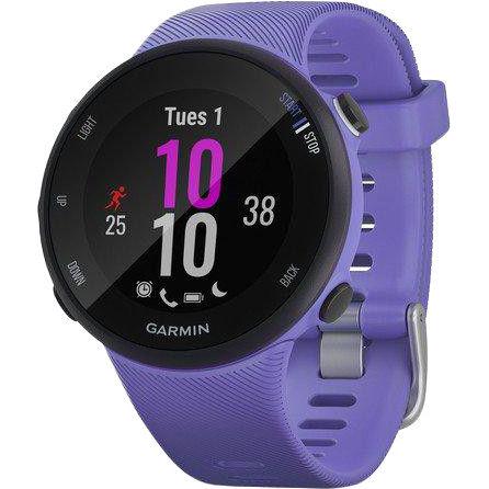 Смарт-годинник Garmin Forerunner 45s Iris (010-02156-11)