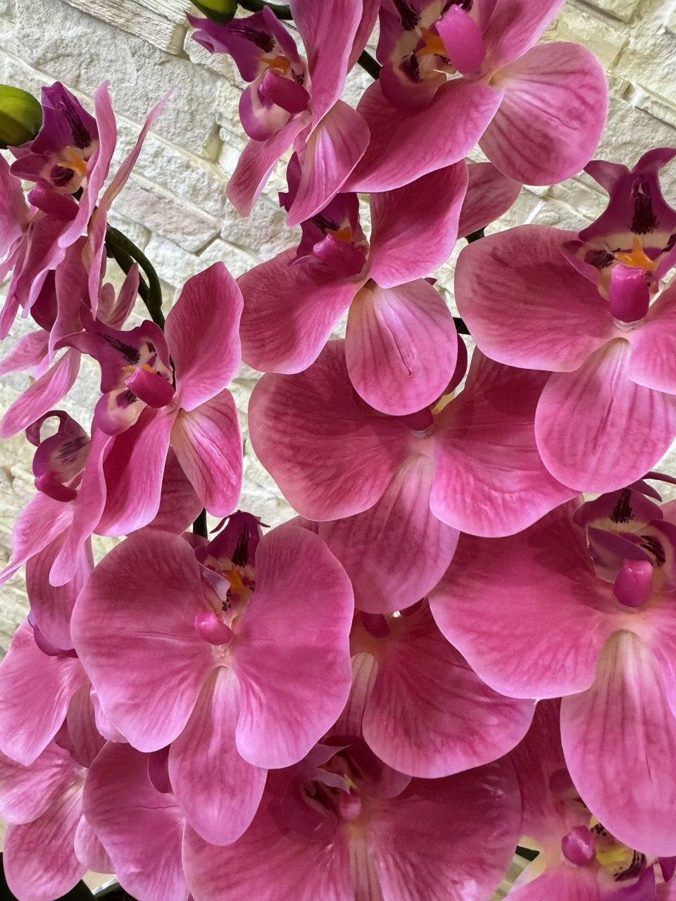 Вазон орхидея ПЛАСТМАКС латексная на две ветки Розовый (O24) - фото 3