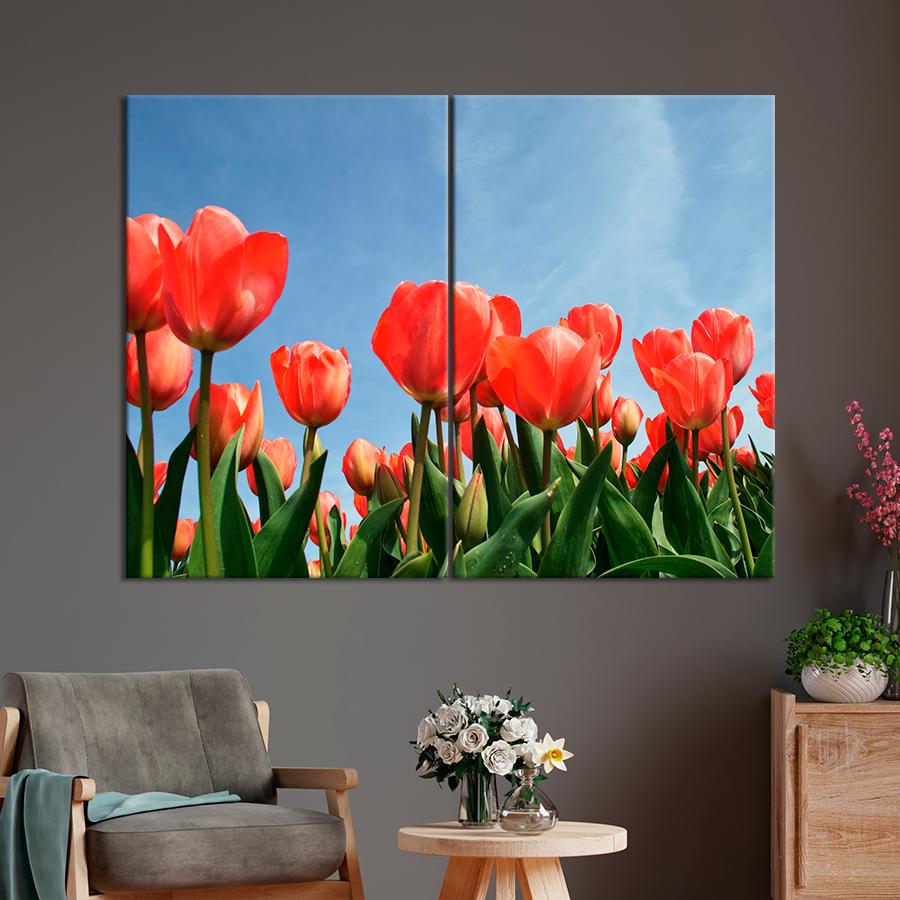 Картина цветы и растения Тюльпаны под голубым небом 165x122 см (A997-2)