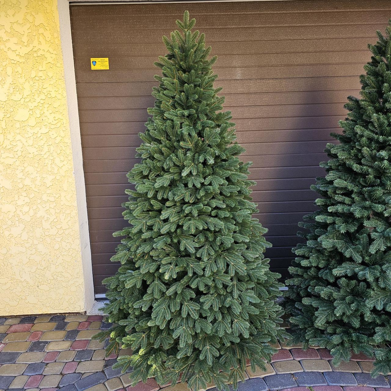 Искусственная елка литая на крабах Рояль с самораскладывающимся механизмом Umbrella 1,8 м (28458489) - фото 7 Искусственная елка литая на крабах Рояль с самораскладывающимся механизмом Umbrella 1,8 м (28458489) - фото 7