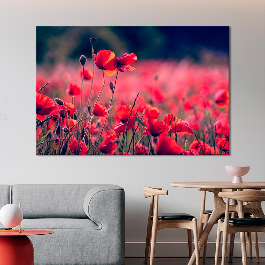 Картина цветы и растения Красные маки 80x54 см (A1047-1)