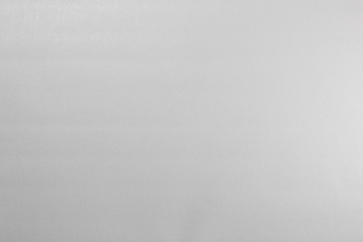 Шпалери універсальні LS 10,05х1,06 м Білий (1477/1) - фото 3 Шпалери універсальні LS 10,05х1,06 м Білий (1477/1) - фото 3