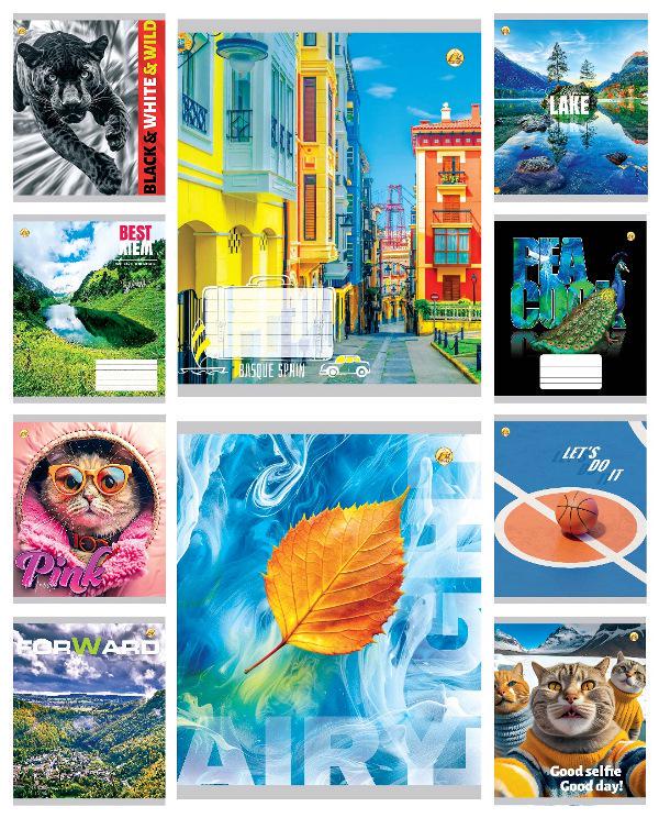 Зошити учнівські Люкс Мікс 1 48 аркушів лінія 10 шт. в упаковці