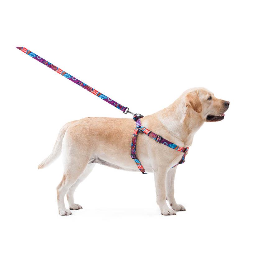 Нашийник для собак з QR-паспортом Waudog Nylon Літо пластиковий фастекс 20 мм 28-40 см Різнокольоровий (4588) - фото 7 Нашийник для собак з QR-паспортом Waudog Nylon Літо пластиковий фастекс 20 мм 28-40 см Різнокольоровий (4588) - фото 7