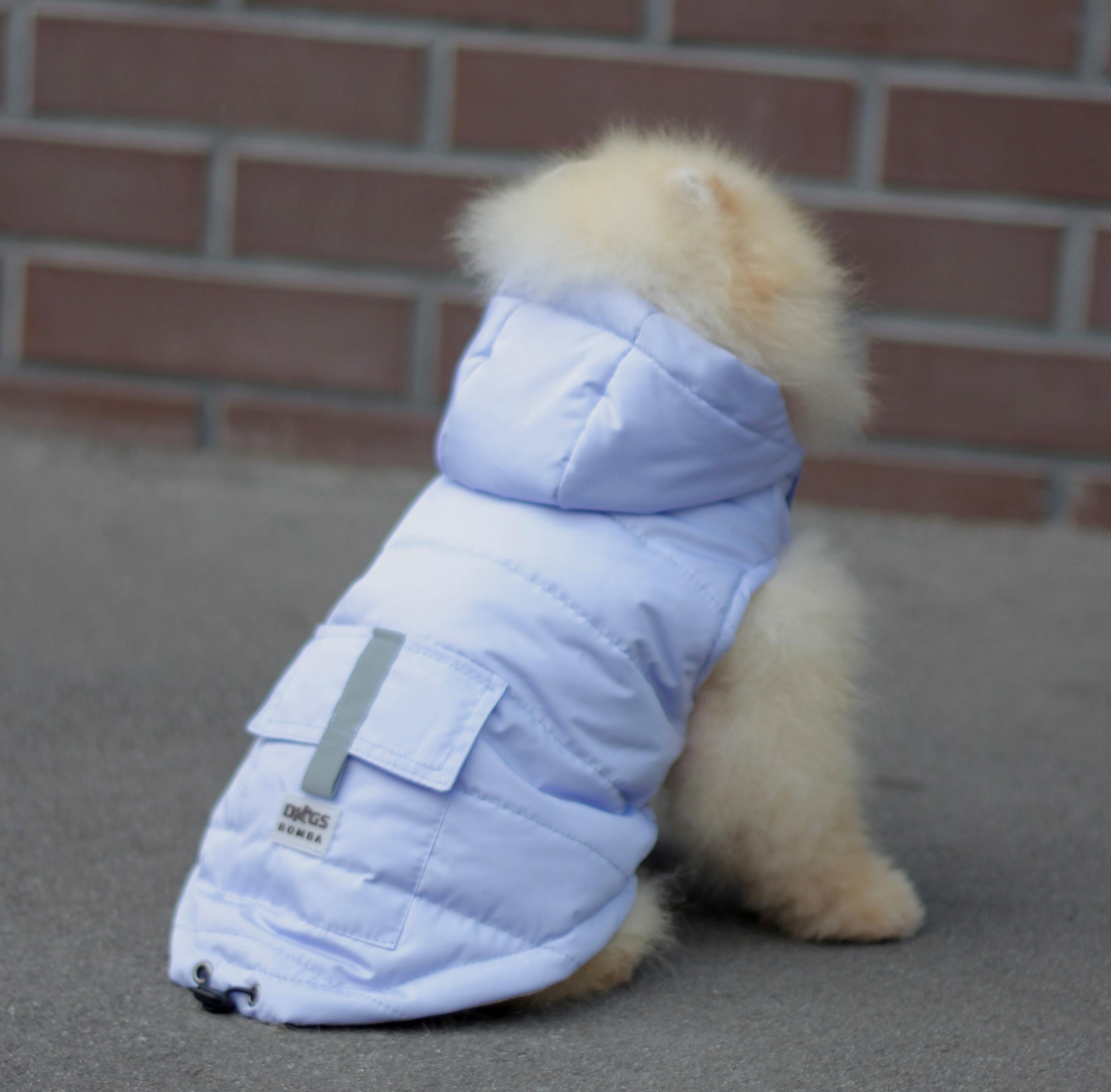 Куртки и жилетки для собак