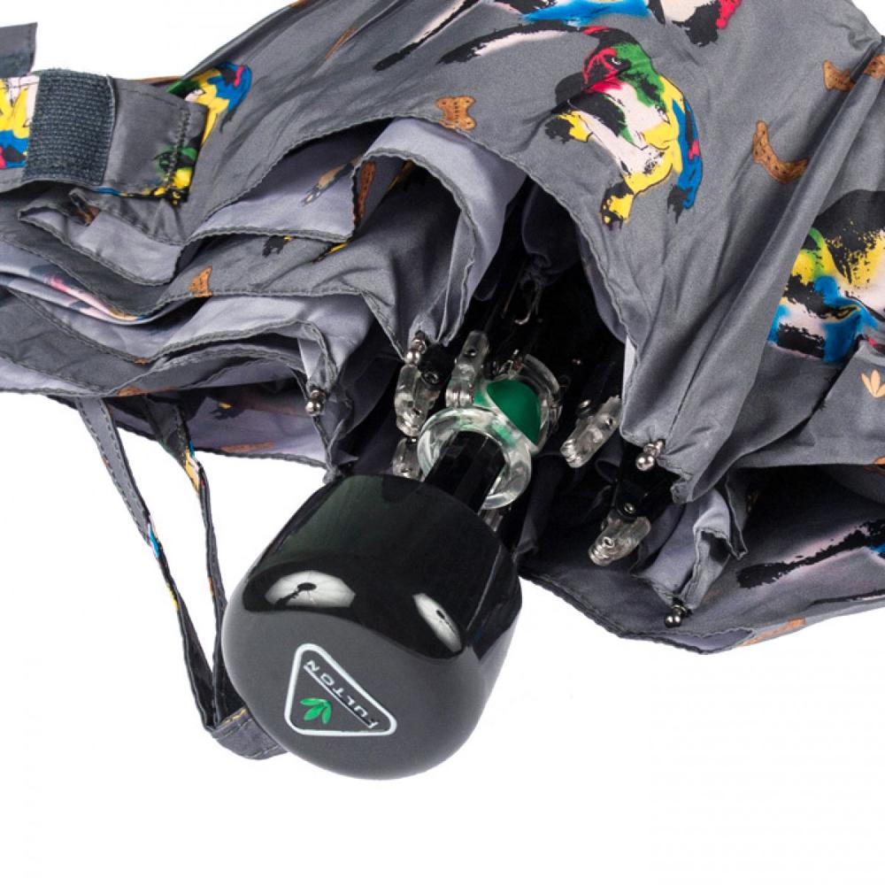 Парасолька жіноча Fulton Soho-2 L859 Prince & Chico (L859-034927) - фото 5