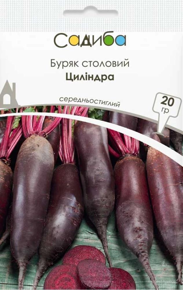 Свекла столовая Цилиндра Частный дом 20 г (37163777)