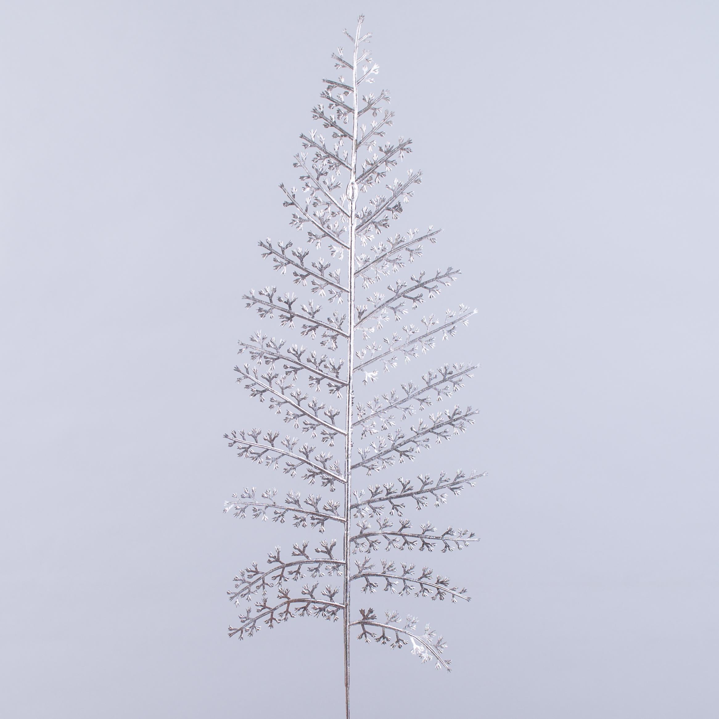 Ветвь новогодняя папоротник широкая Шампань (2218-4)