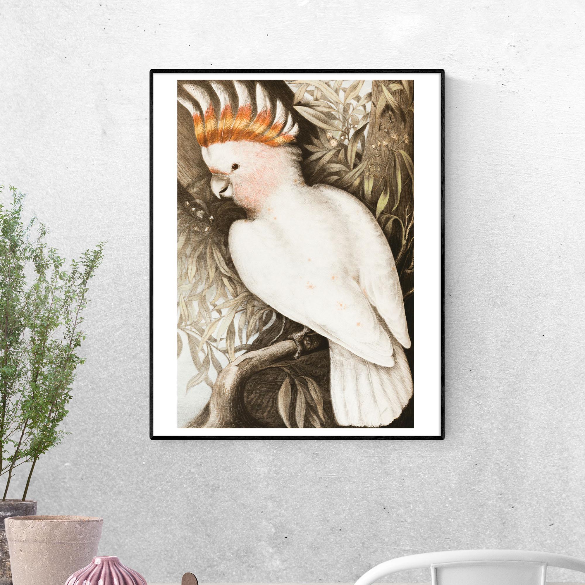 Постер Какаду Ледбитера или розовый какаду формат А-1