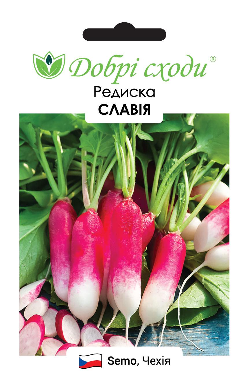 Семена редиса Славия Добрі сходи 10 г (01180019)