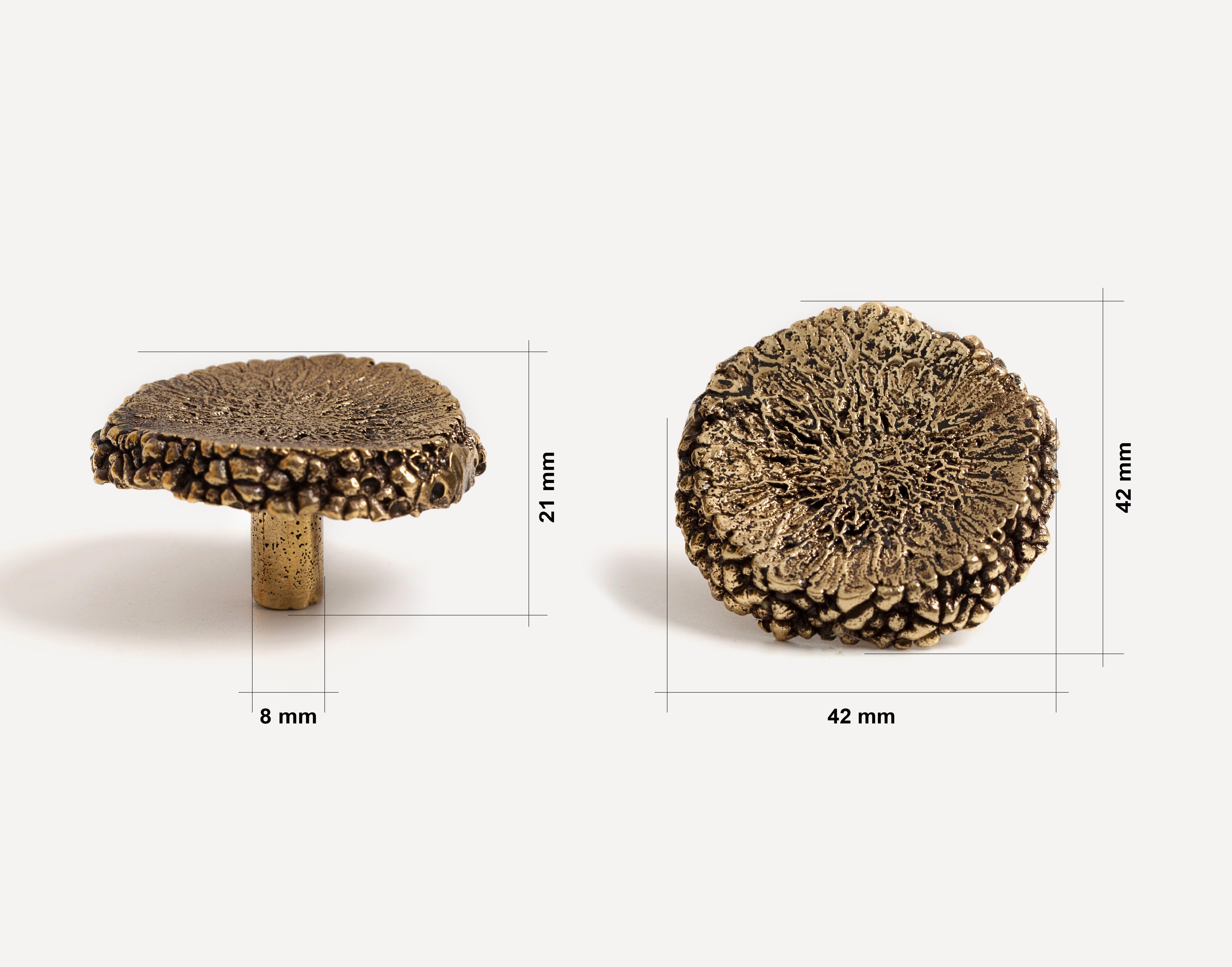 Меблева ручка "Авокадо" - фото 10