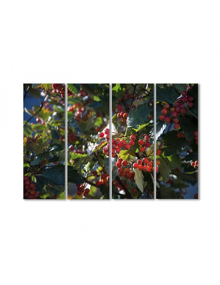 Картина модульная Рябина 4 модуля 60x90 см