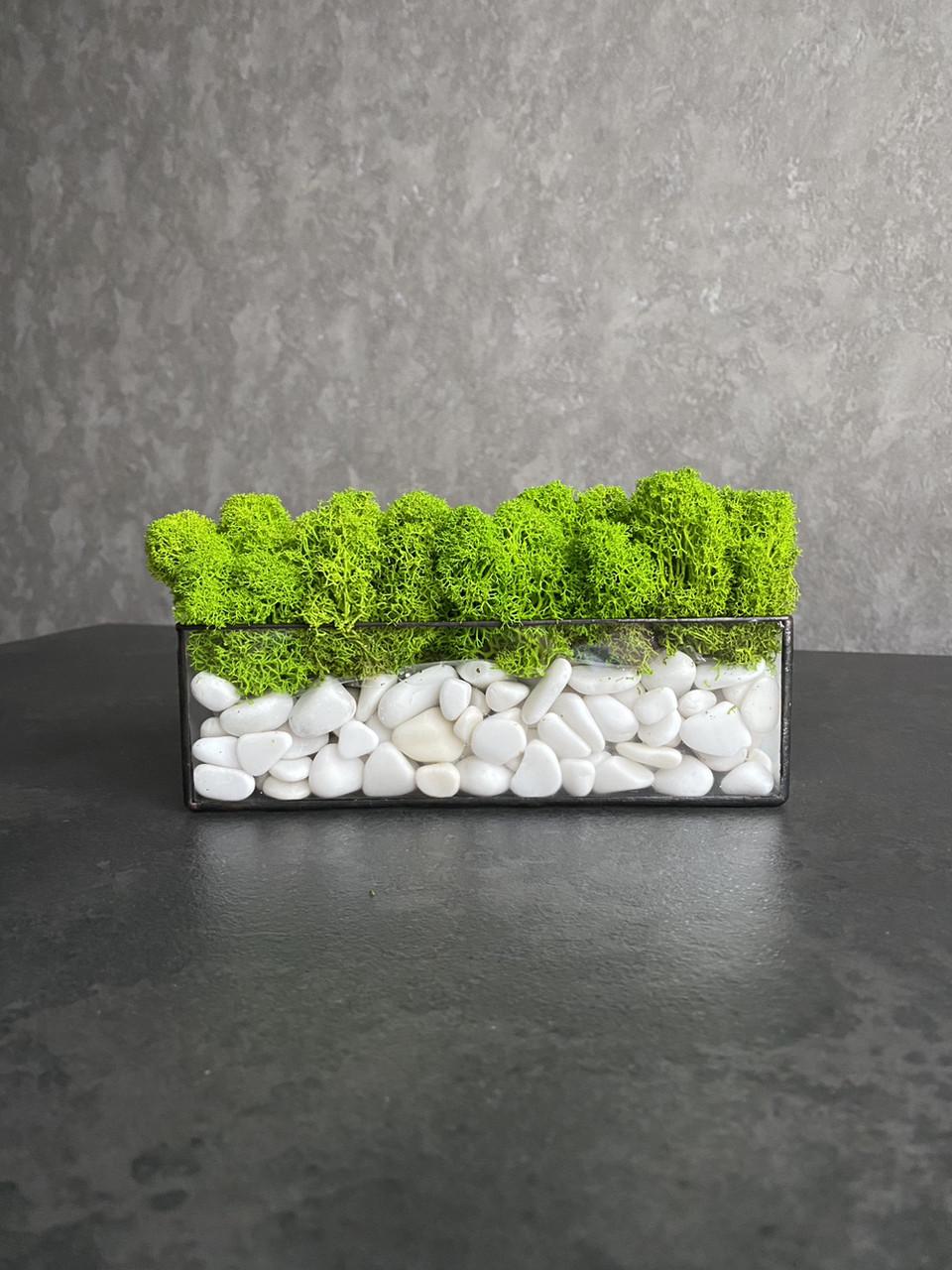 Моссаріум з мохом 30 см (2567448280)