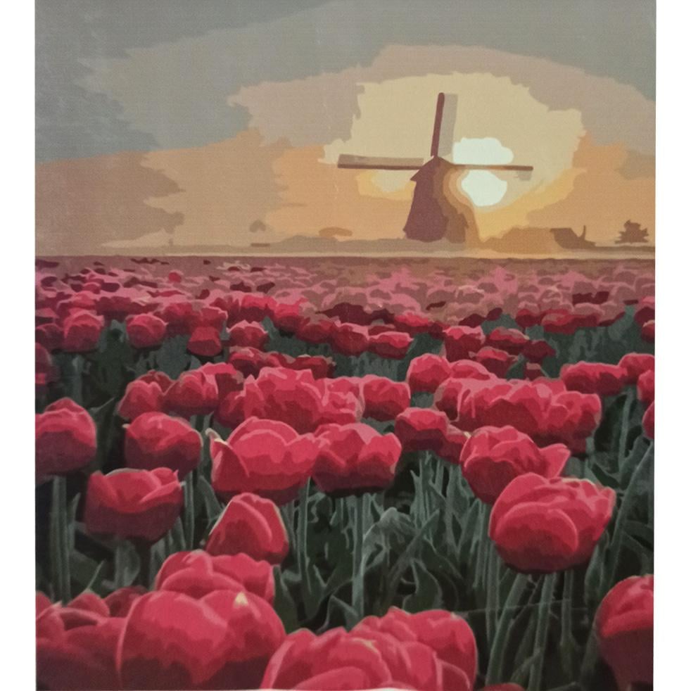 Картина за номерами Strateg Преміум Тюльпанове поле 30x40 см (SS-6545)