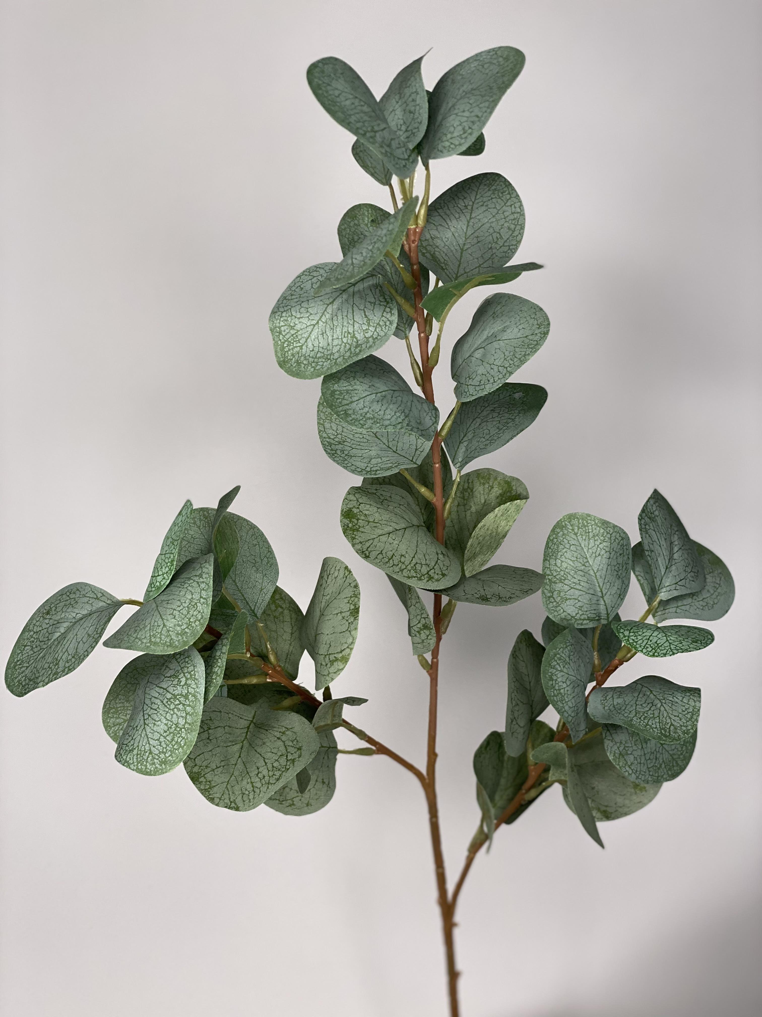 Эвкалипт искусственный популюс из сатина - фото 5 Эвкалипт искусственный популюс из сатина - фото 5