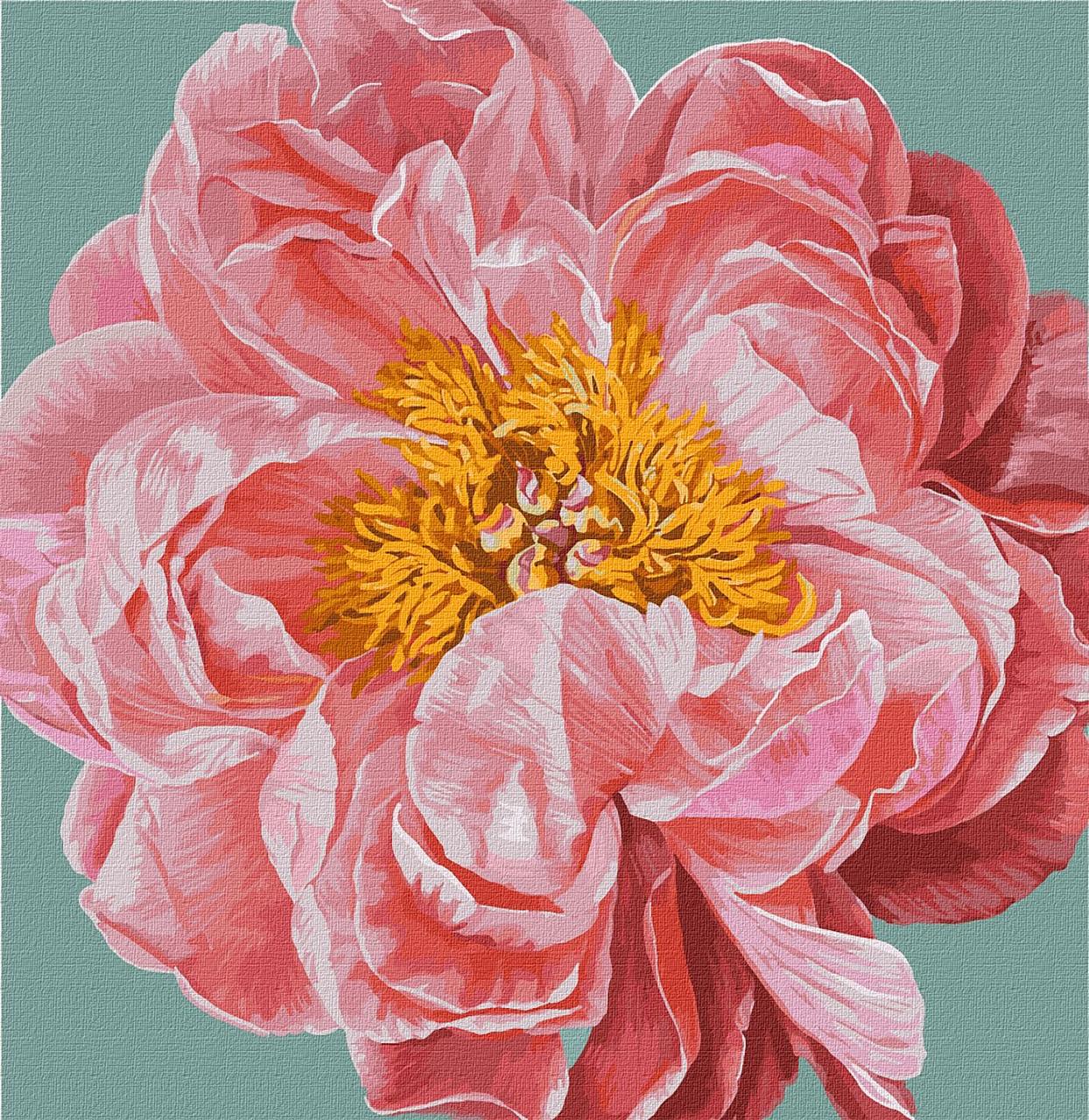 Картина по номерам Идейка Pink kiss Ira Volkova KHO2952 холст на подрамнике 40x40 см (1546969110)