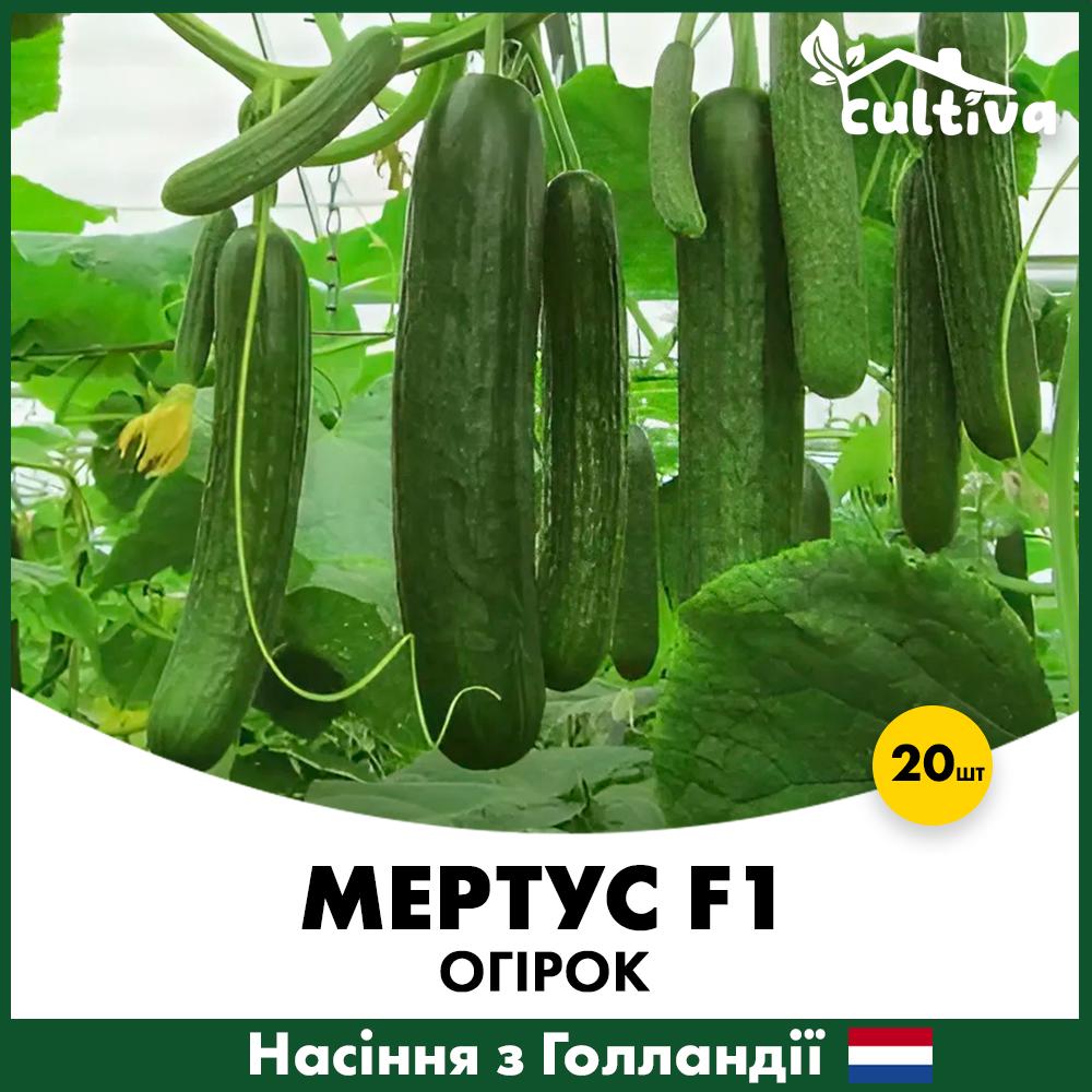 Семена огурца Rijk Zwaan Мертус F1 20 шт. (R51015)