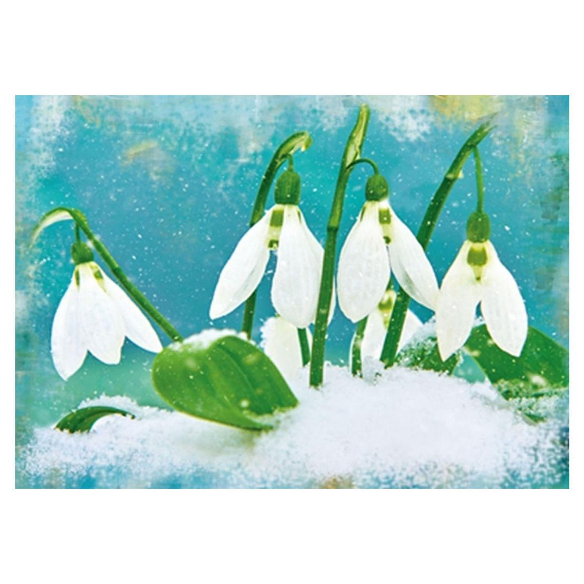 Алмазная мозаика TK Group Подснежники размер 40х30см (GB77563)