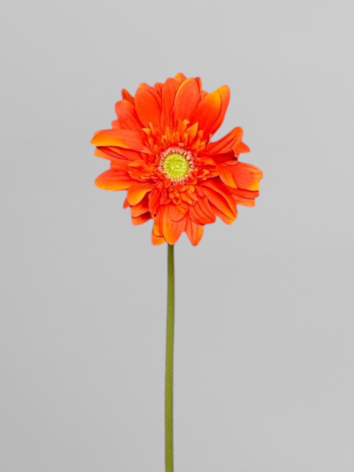 Искусственная гербера на стебле для букетов 64 см Оранжевый (К13063)