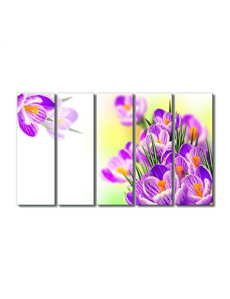 Картина модульная Рябенькие крокусы 5 модулей 70x105 см (200129cvety_i_rasteniya)