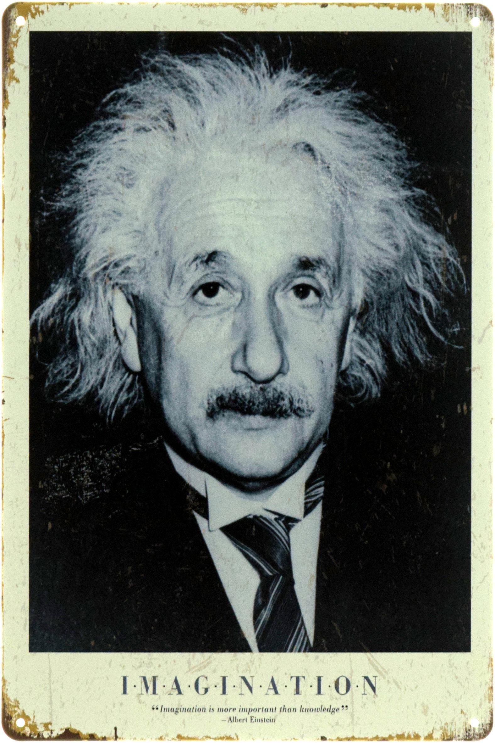 Табличка металлическая "Albert Einstein Imagination" 20x30 см (ms-104443)