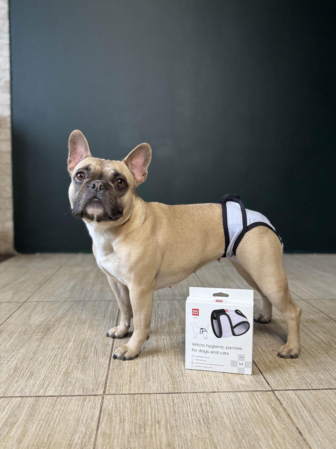 Труси гігієнічні для котів та собак Waudog Vet на липучках XXS Сірий (2495453425) - фото 13