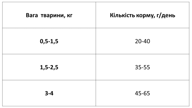 Сухий корм Екко гранула преміум для кошенят з куркою 10 кг - фото 2