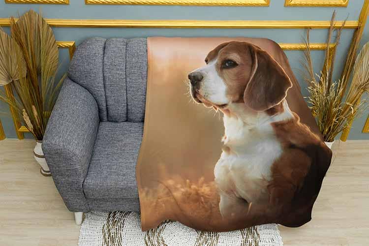 Плед Beagle in autumn плюш двошаровий 135х150 см (113438-2)