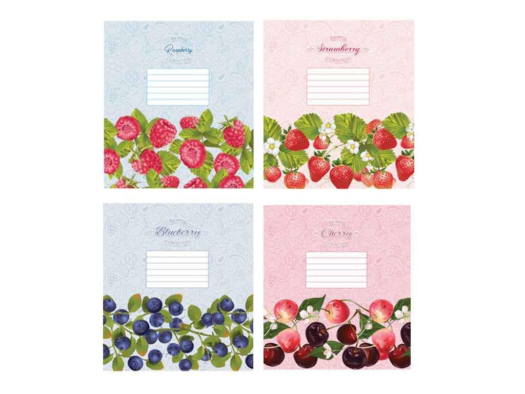 Тетрадь в линию Мечты сбываются 12 л. 20 шт. 3184л (933135)