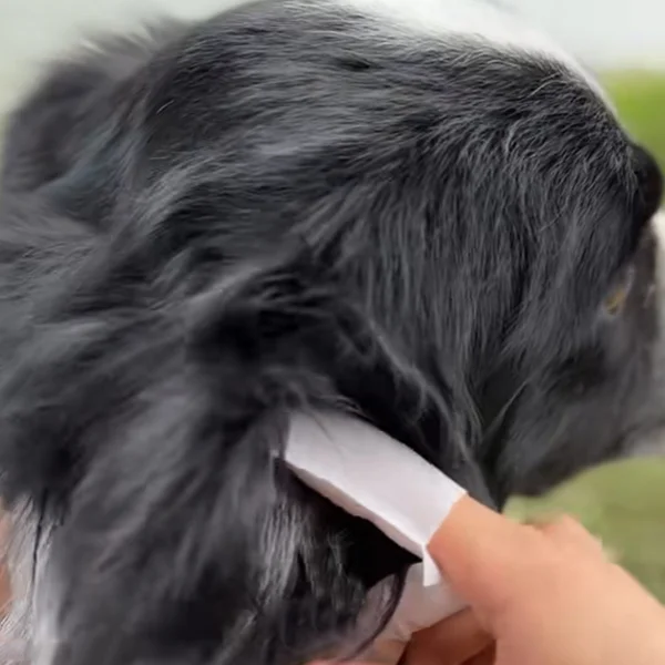 Салфетки по уходу за животными 50 шт. (J00127-1) - фото 9