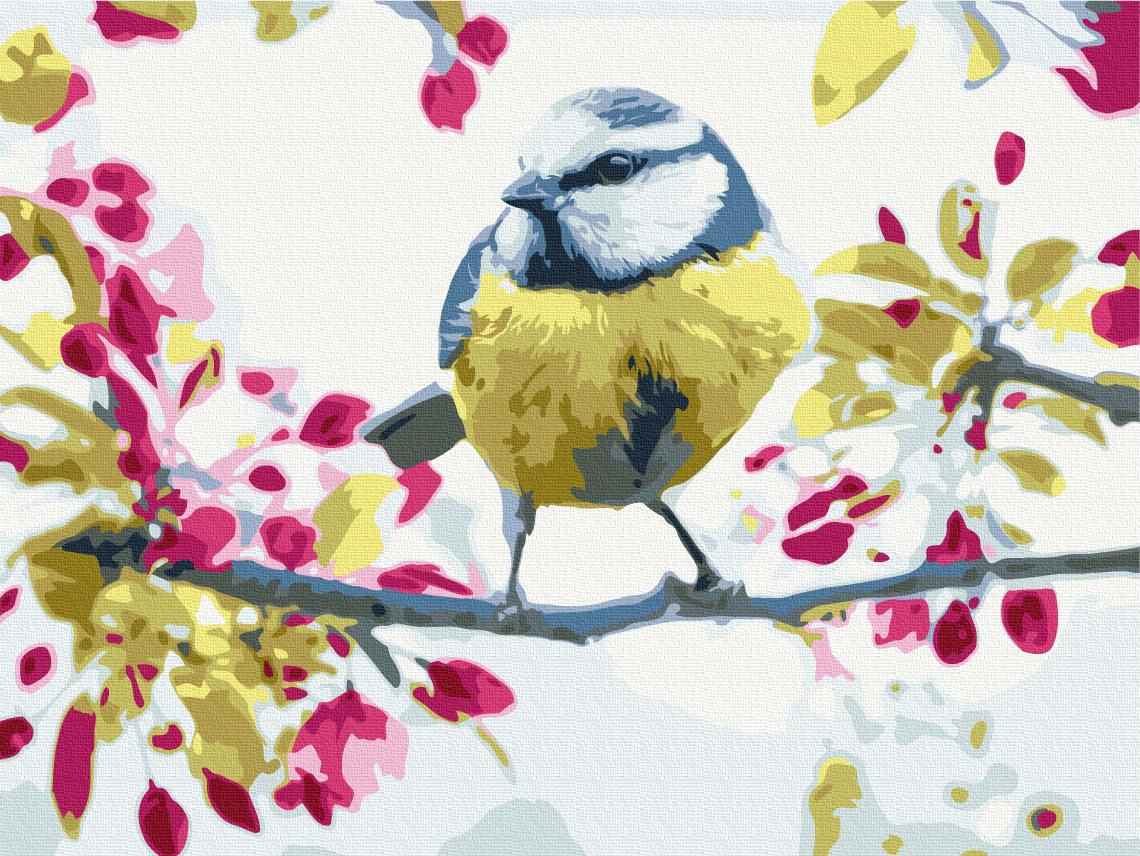 Картина за номерами Brushme Весняна синиця 30x40 см (RBS51439)