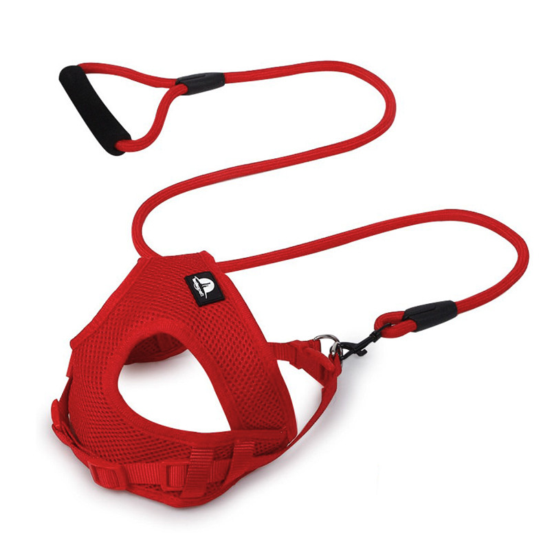 Шлея для собак с поводком Taotaopets 233303 Red S Шлея для собак с поводком Taotaopets 233303 Red S