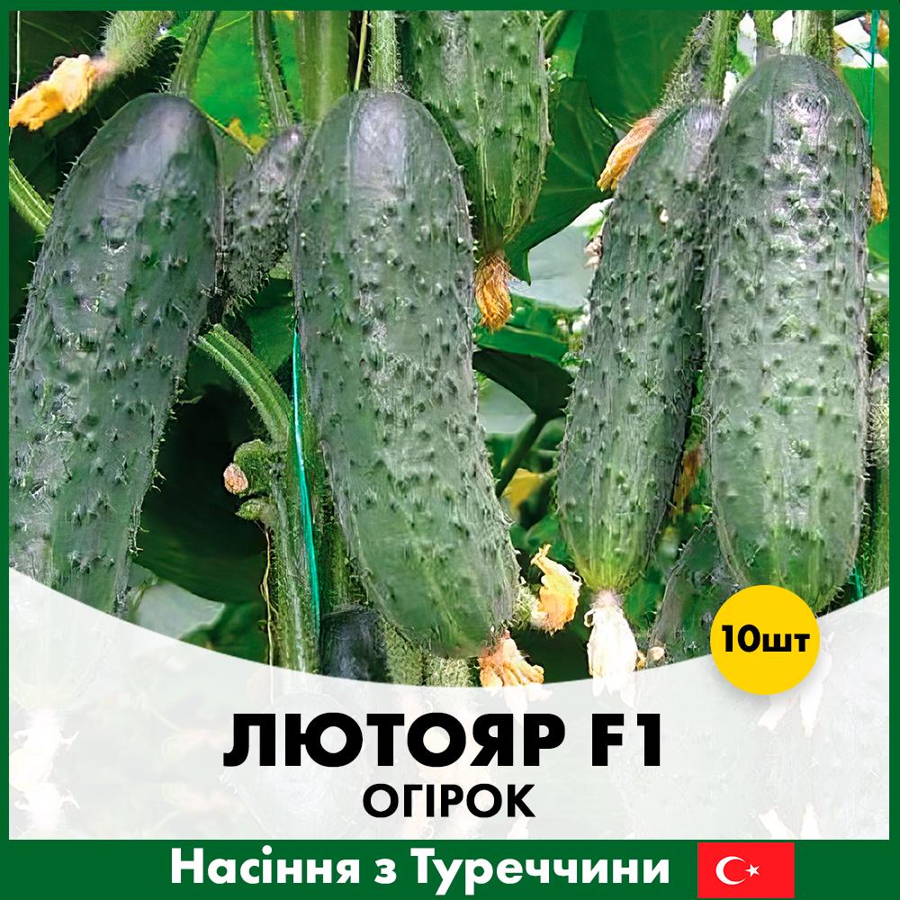 Семена огурца Yuksel Tohum Лютояр F1 10 шт. (R30126)