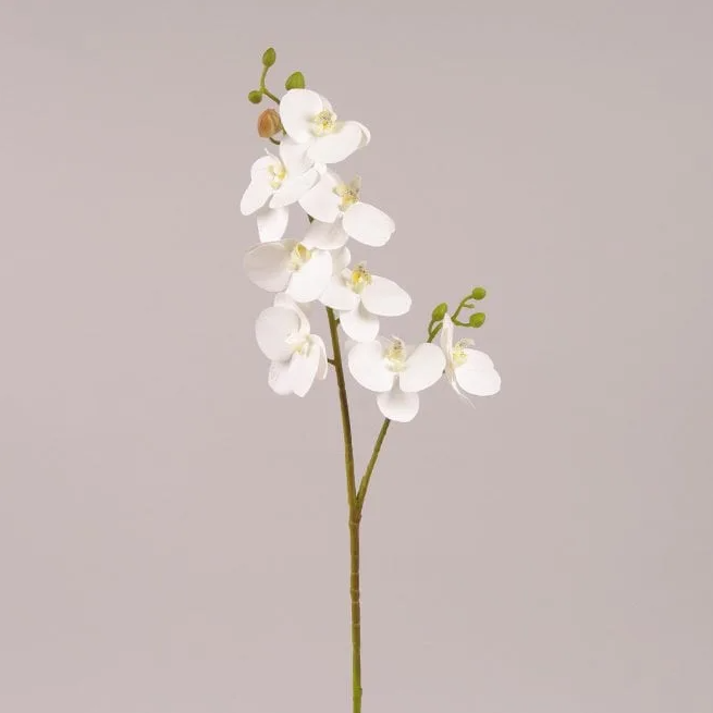 Цветок Фаленопсис из латекса Flora Белый (72612)