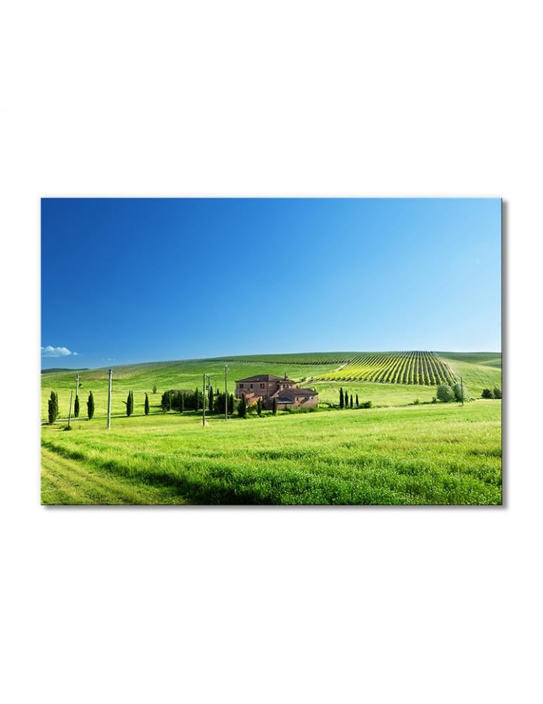 Картина модульная Пейзаж зеленые поля с домом 1 модуль 40х60 см