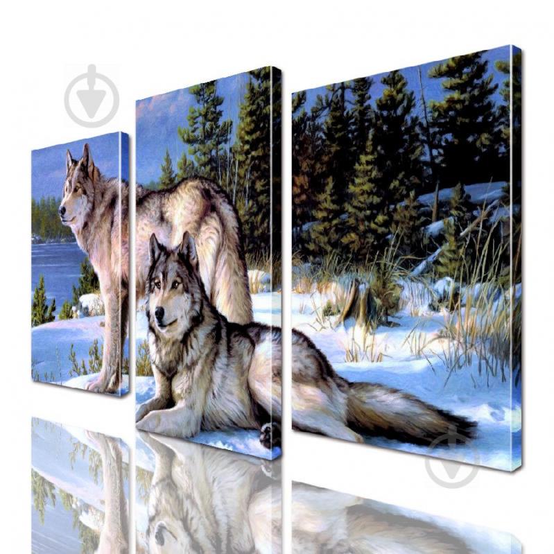 Модульная картина Пара Волков ADJ0028 размер 45 х 70 см
