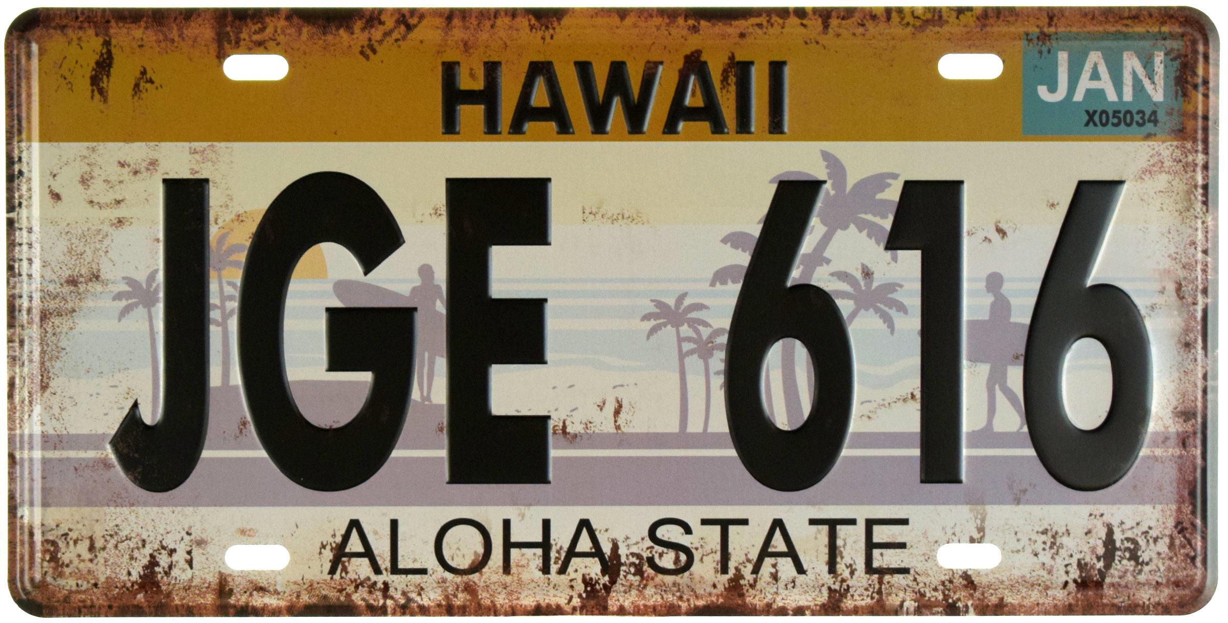 Табличка металлическая Гавайи/Hawaii JGE 616 15x30 см